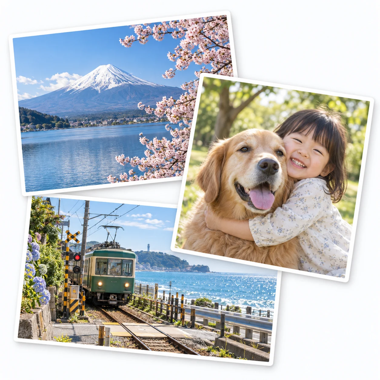 Memories to keep: cherry blossoms at Mount Fuji, a girl with her golden retriever, and a seaside train